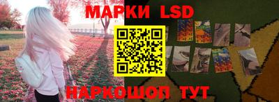индика Бийск