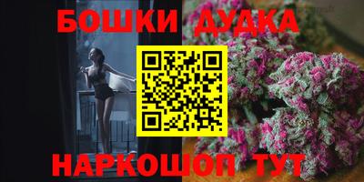 индика Бийск