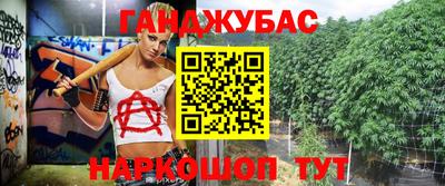 индика Бийск