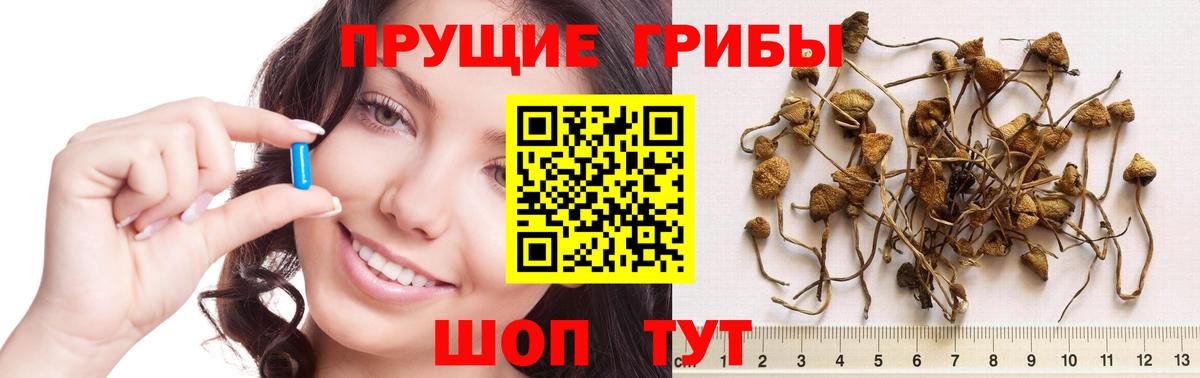 Казань  Псилоцибиновые грибы мицелий  Вход с VPN 